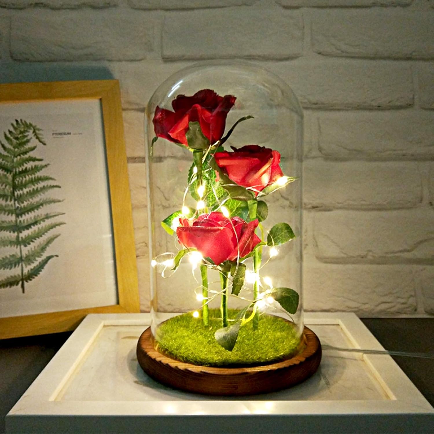 Flower Rose Gift Beauty and The Best Red Rose with Led Lights, Unique