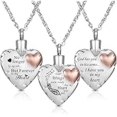 Decor Urns Heart Urn Necklace Ashes Cremation Jewelry for Women Men Keepsake Pendant Memorial Ash Locket Holder