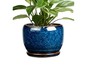SQOWL Ceramic Planter 8 Inch - Pot for Indoor Outdoor Plants Round Ceramic Plant Pot with Drainage Hole and Saucer Modern Flower Pot Glazed Blue