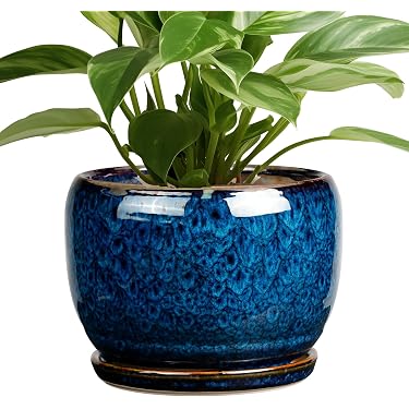Amazon Best Sellers: Best Planters