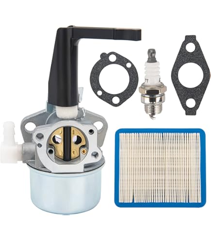 Amazon.com : Briggs & Stratton 261610 Choke Link : Lawn And