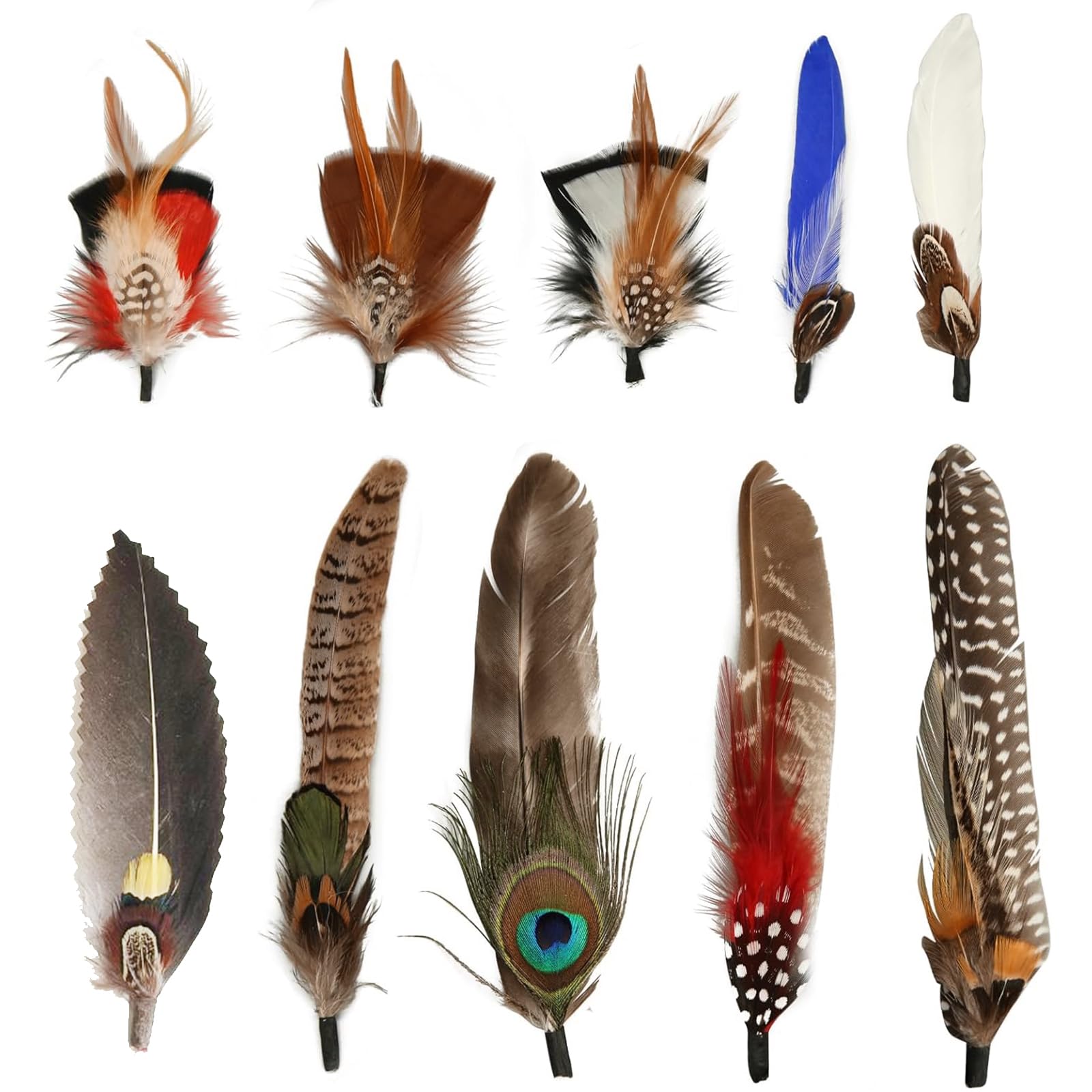 Cosswe 10Pcs Natural Peacock Feathers for Hats, Assorted Feathers Accessories for Men Women, DIY Decorations
