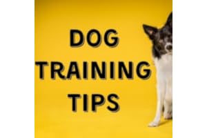 Dog Training Tips