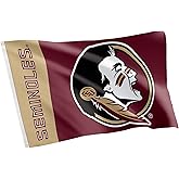 Desert Cactus Florida State University Flag Seminoles FSU Banners 100% Polyester Indoor Outdoor 3x5 feet Flags (Team Name)