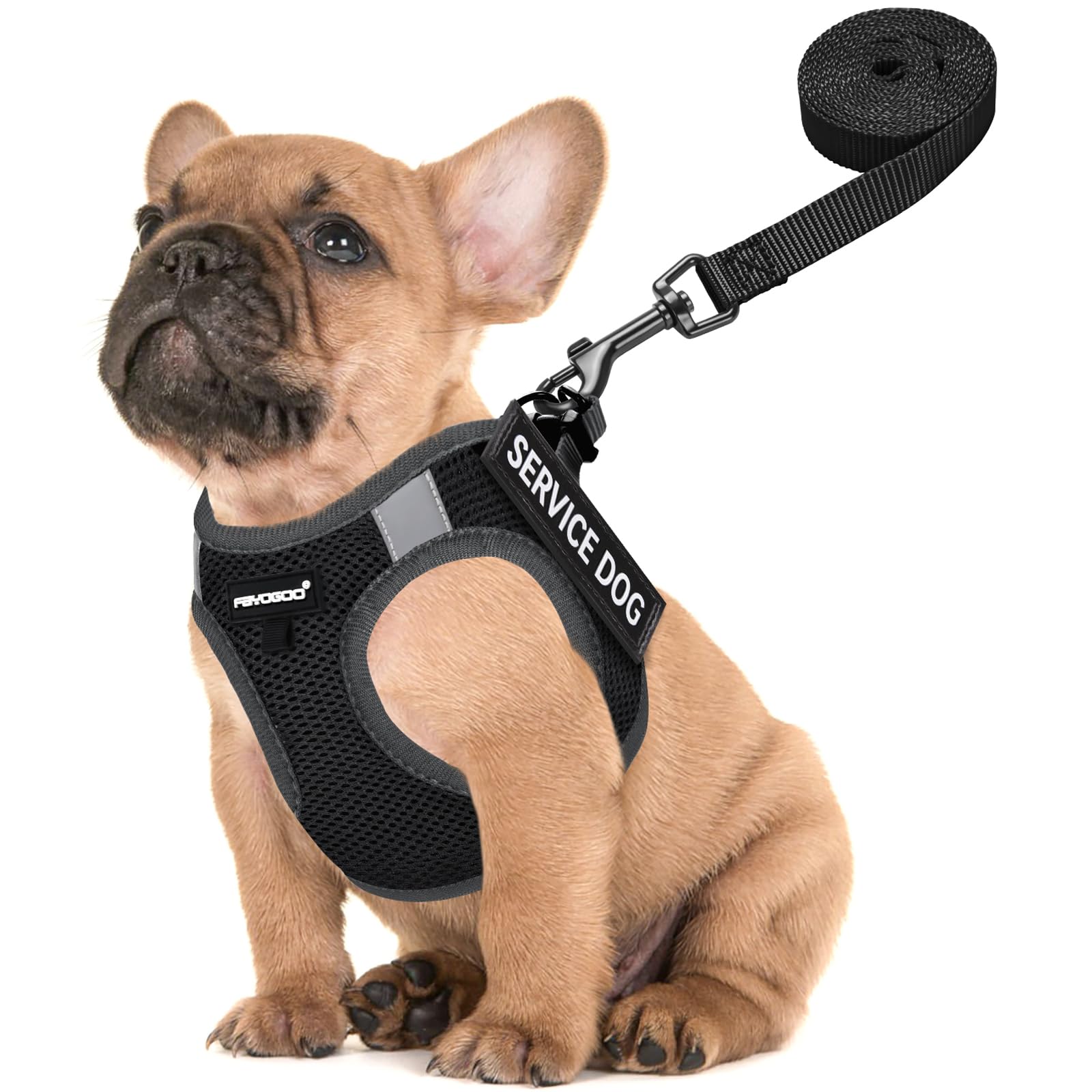 Photo 1 of FAYOGOO Service Dog Vest for Small Breed - Lightweight Dog Harness with 6PCS Removable Patches - Puppy Harness and Leash Set for Walking,Training