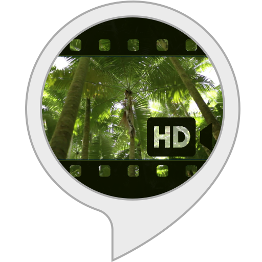 Click Here to See More Images Ambient Visuals: Wild Jungle