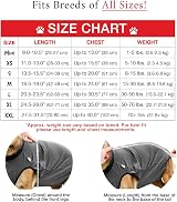 BellyGuard Dog Surgery Recovery Suit for Post-Op Care view 3