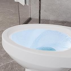 Two Piece Toilets Elongated, 19" ADA Comfort Height