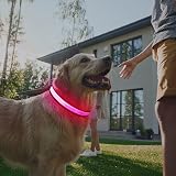 YFbrite 7 Flashing Modes USB Rechargeable Multi-Color Dog Collar Light Gray view 9