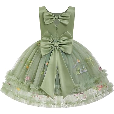 Amazon.com New Releases: The best-selling new & future releases in Baby  Girls' Dresses