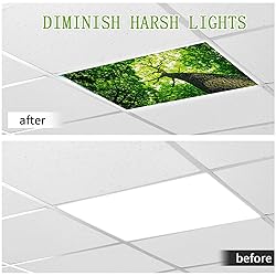 SCWISOAS Fluorescent Light Covers for Ceiling