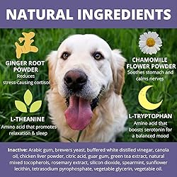 Under the Weather Pet Soft Dog Chew Supplements for
