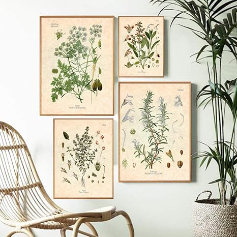 Amazon スパイスハーブプリントヴィンテージ植物ポスターパセリセージローズマリータイム料理ウォールアート画像キッチンホームウォールアート装飾キャンバス絵画フレームなし ウォールステッカー オンライン通販