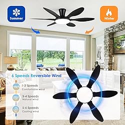 Ceiling Fans with Lights, 51 inch Modern Black Low