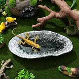 Milisten Ceramic Water Feeder Tray 8.27" Garden Bird Butterfly Bee Watering view 8