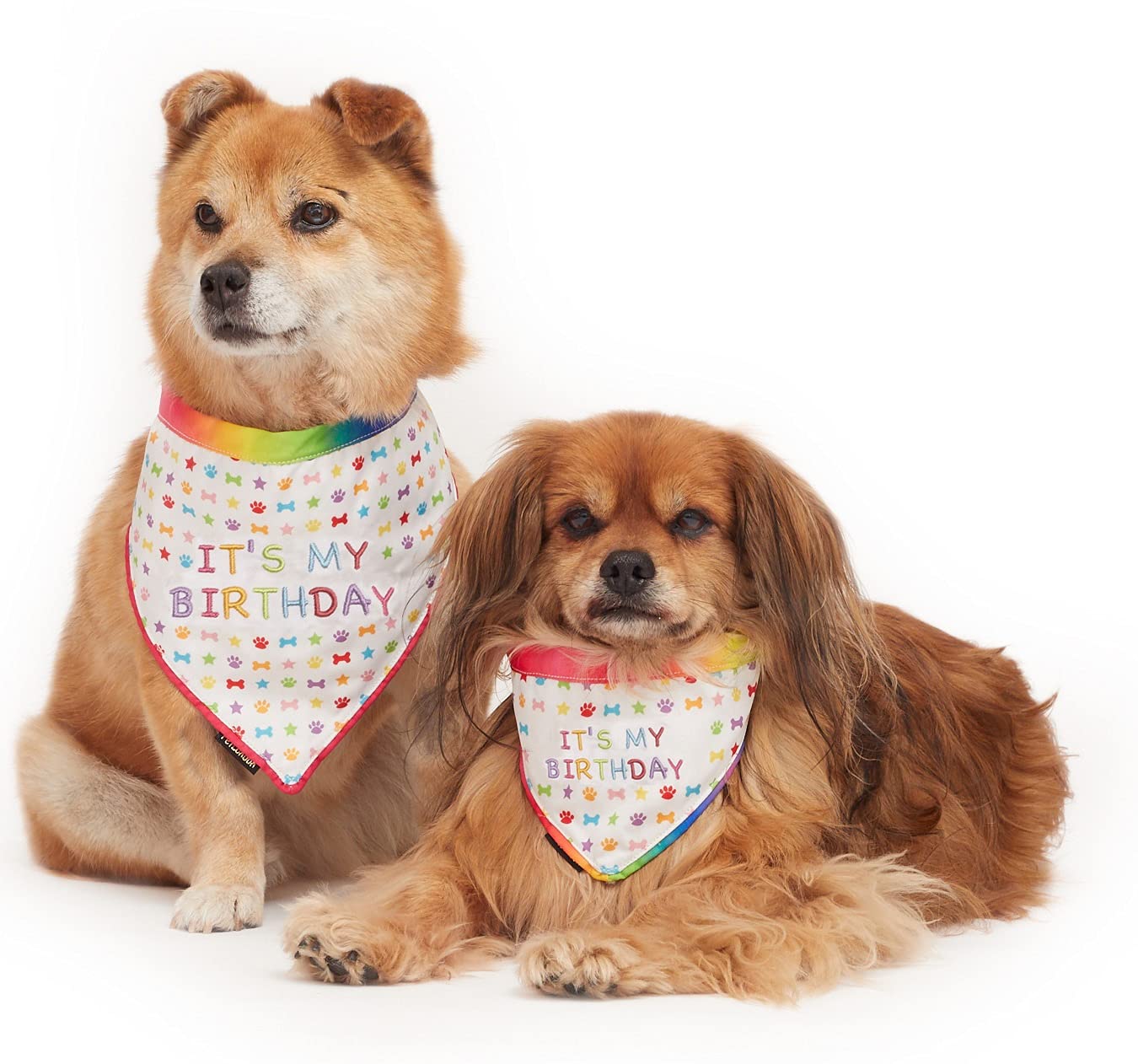 Pet London Dog or Cat Birthday Bandana Reversible in Fun Happy Bright Colours - Celebrate Dog's Happy Birthday for Boy or Girl-Rainbow Pattern, Party Bday or Adoption Gift Celebration