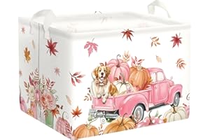 HUUMONSS Fall Thanksgiving Baby Storage Basket Pumpkin Maple Leaf Collapsible Clothes Kids Laundry Hamper Large Boys Girls Gift Toy Box Bin for Nursery Room,Pink Car,40*30*30 cm