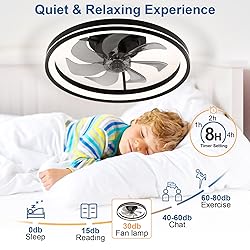 Low Profile Ceiling Fans with Lights and