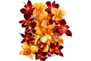 Miami Fresh Orchid Flower OrchidClub USA Sunne Tropical Loose Bloom DIY Lei food drink decoration (100 DUO ORANGE)