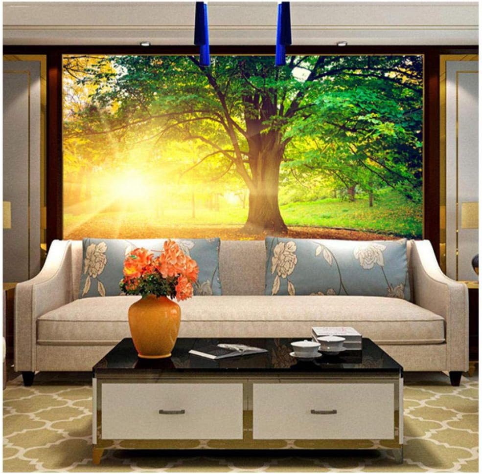Individuelle Fototapeten Moderne Gro e HD Park Baum Frische Wand individuelle-fototapeten-moderne-gro-e-hd-park-baum-frische-wand