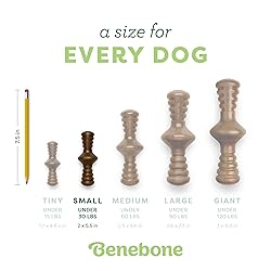 Benebone Zaggler Rolling Dog Chew Toy for