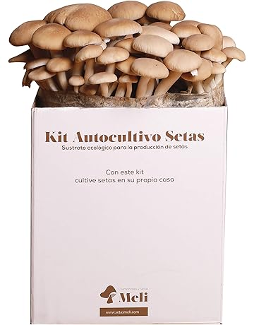 Amazon.es: Kits de cultivo en casa: Jardín