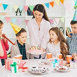 96 Pcs S'Mores Camping Birthday Party Decorations