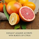 Baylis & Harding Sweet Mandarin Grapefruit Luxury Hamper Gift Set Vegan Friendly view 4