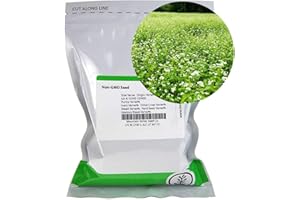 MOUNTAIN VALLEY SEED COMPANY Buckwheat Seeds - 1 Lb ~15,000 Seeds - Organic, Non-GMO, Whole (Shell On) - Grow Buck Wheat Microgreens