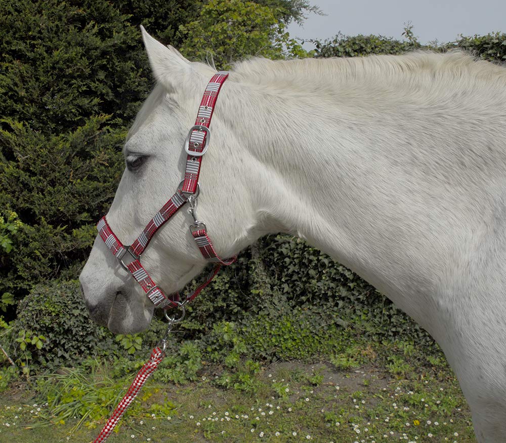 Rhinegold Unisex's Carnival Headcollar & Rope, Red Check, Pony