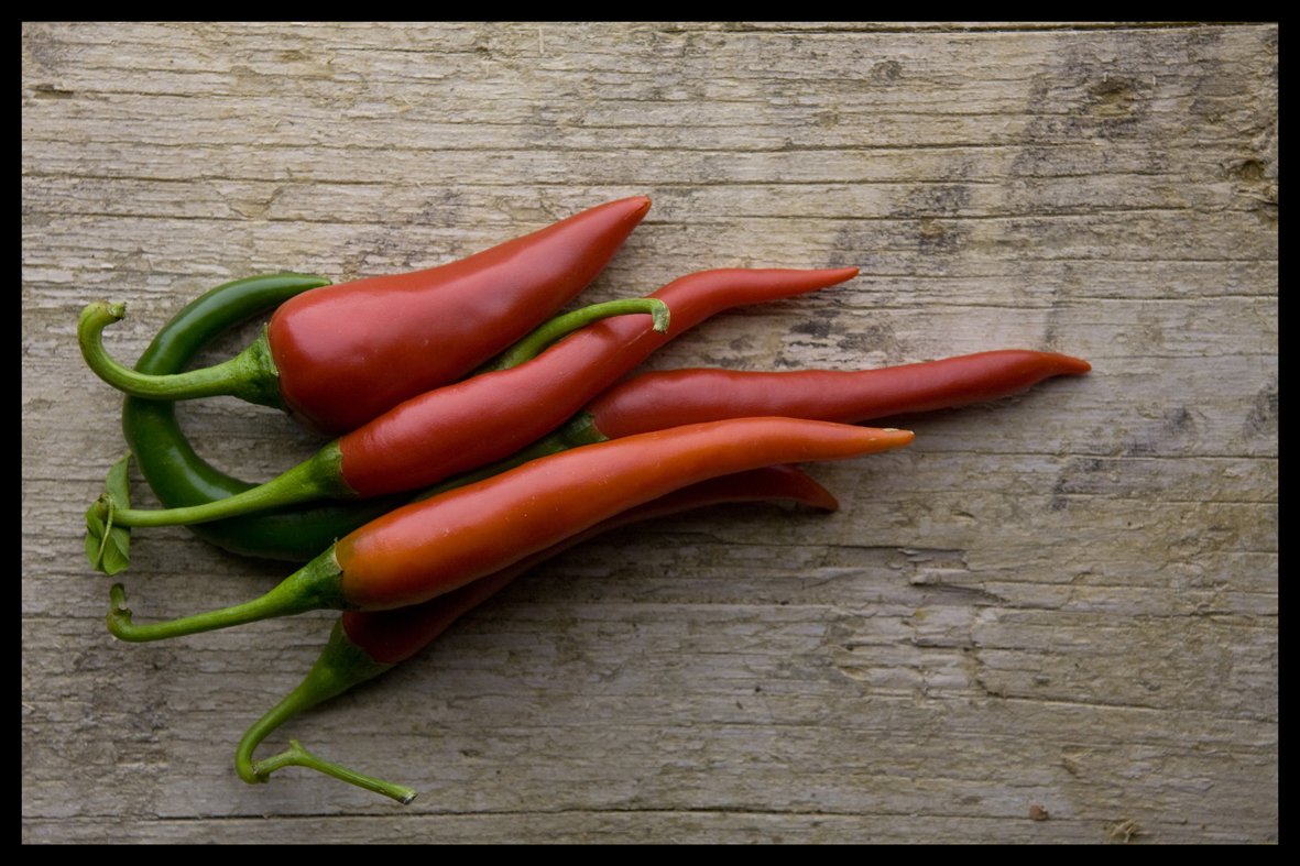 Digital Republic.Com 40730 Door Mat - Phthalate-Free PVC/Polyamide