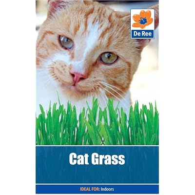 Buy Cat Grass Online Costa Rica | Ubuy