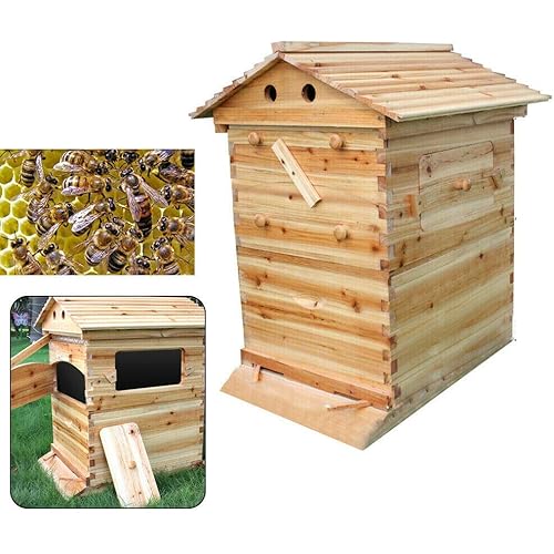 Bee Hive House Wooden Box Beekeeping Brood Box House Auto Honey Beekeeping Supplies Equipment Tool Gentle Process for Beginner
