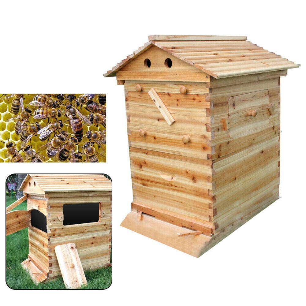Honey Hive Beehive Frames Kit+ Beekeeping Wooden House Beehive Boxes,Solid Wood Honey Bee Hives Kit, Bees House Box for Beginner (Bee House Only)