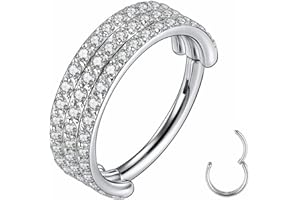 Yrogcu 20G 18G 16G 14G Single/Double Hoop Stainless-Steel Seamless-Hinged-Piercing Segment-Clicker Nose-Ring-Hoop : Diameter 6mm 8mm 10mm 12mm Cartilage Earrings