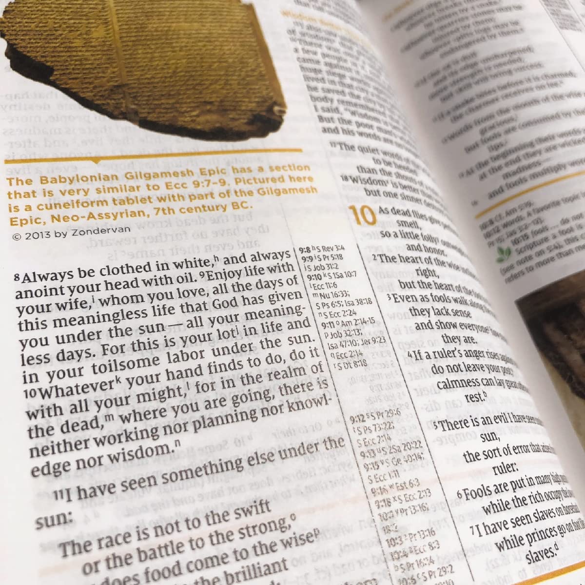 NIV Study Bible, Fully Revised Edition (Study Deeply. Believe Wholeheartedly.), Hardcover, Red Letter, Comfort Print