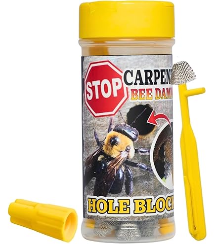 Amazon.com: Control Solutions Inc. 82770008 Fuse Foam Ready-to-Use