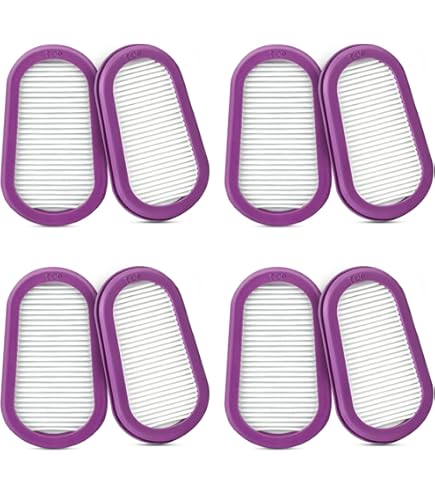 GVS SPR321 Elipse P100 Elipse Replacement Filter, Both Small