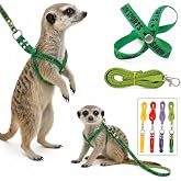 Pet Adjustable Escape Proof Harness and Leash Set for Small Animals, Escape Resistant Figure 8 Harness for Ferret, Meerkat, Groundhog, Guinea Pig, Hedgehog - Small to Medium Size Rabbit (Green)
