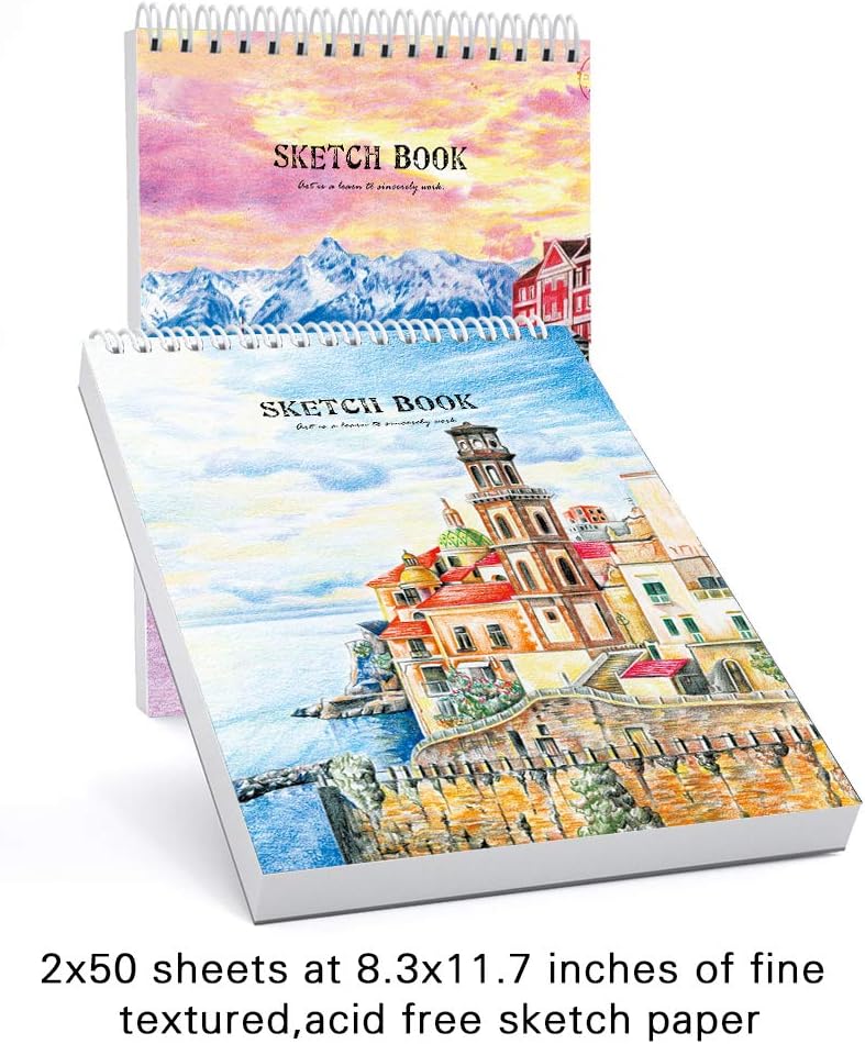 93 Piece Professional Art Set，Drawing kit，Colored Pencils, and Oil Pastels in Wooden Box, Art Supplies for Kids, Teens and Adults