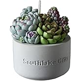 Assorted Succulent Pot Scented Vegetable Wax Candle for Spa Home Decoration Wedding Gift