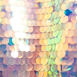 2800 Pcs Flat Round Loose Sequins,10 mm Large