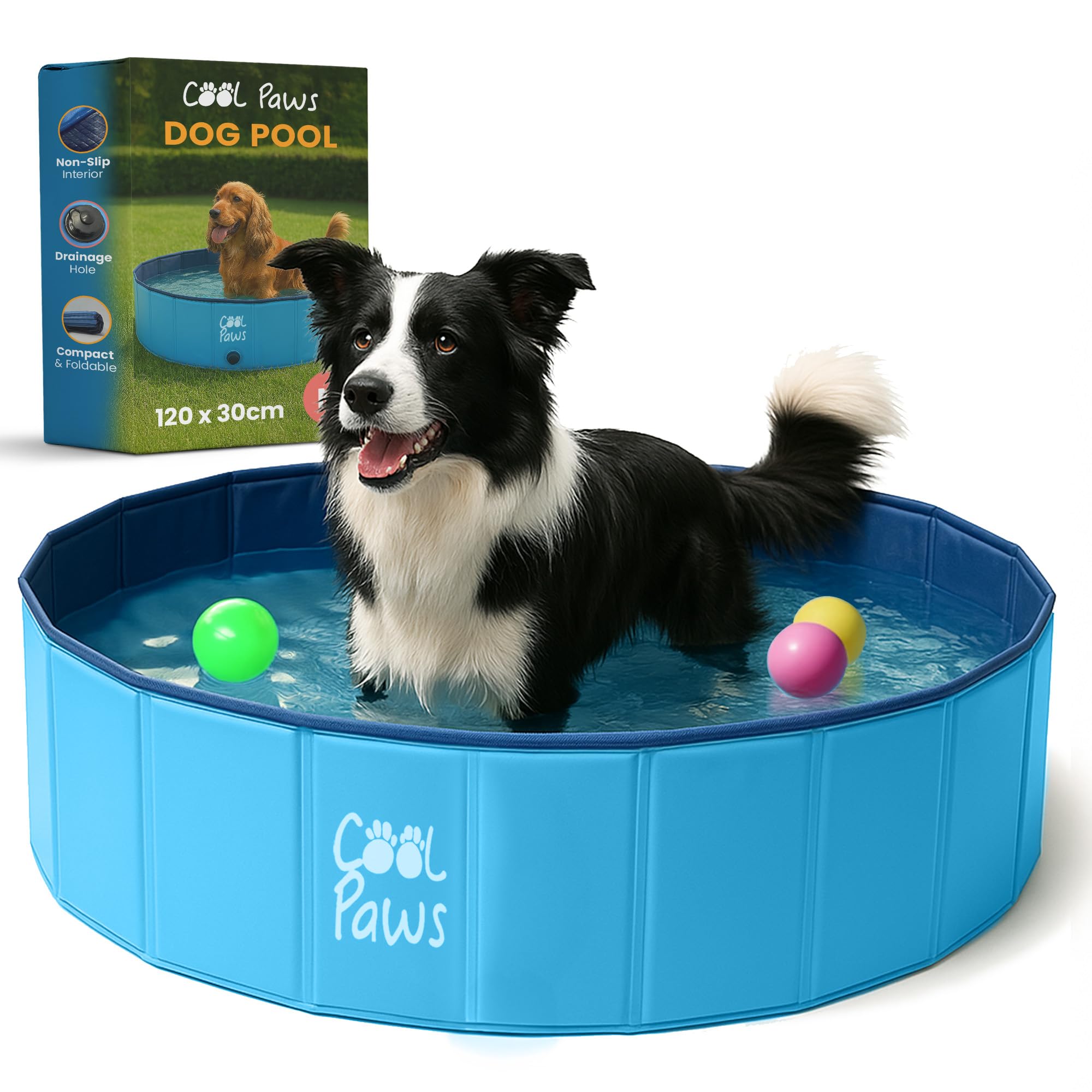 Cool Paws Paddling Pool – Foldable Dog Pool in Multiple Sizes (S–XL), Leakproof & Durable Hard Plastic Design, Pet Bath for Indoors, Outdoors, Garden, Patio – Blue
