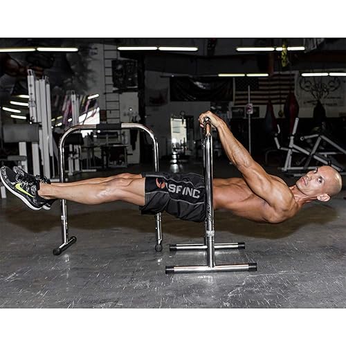 Lebert Fitness Dip Bar Stand Original Equalizer Total Body