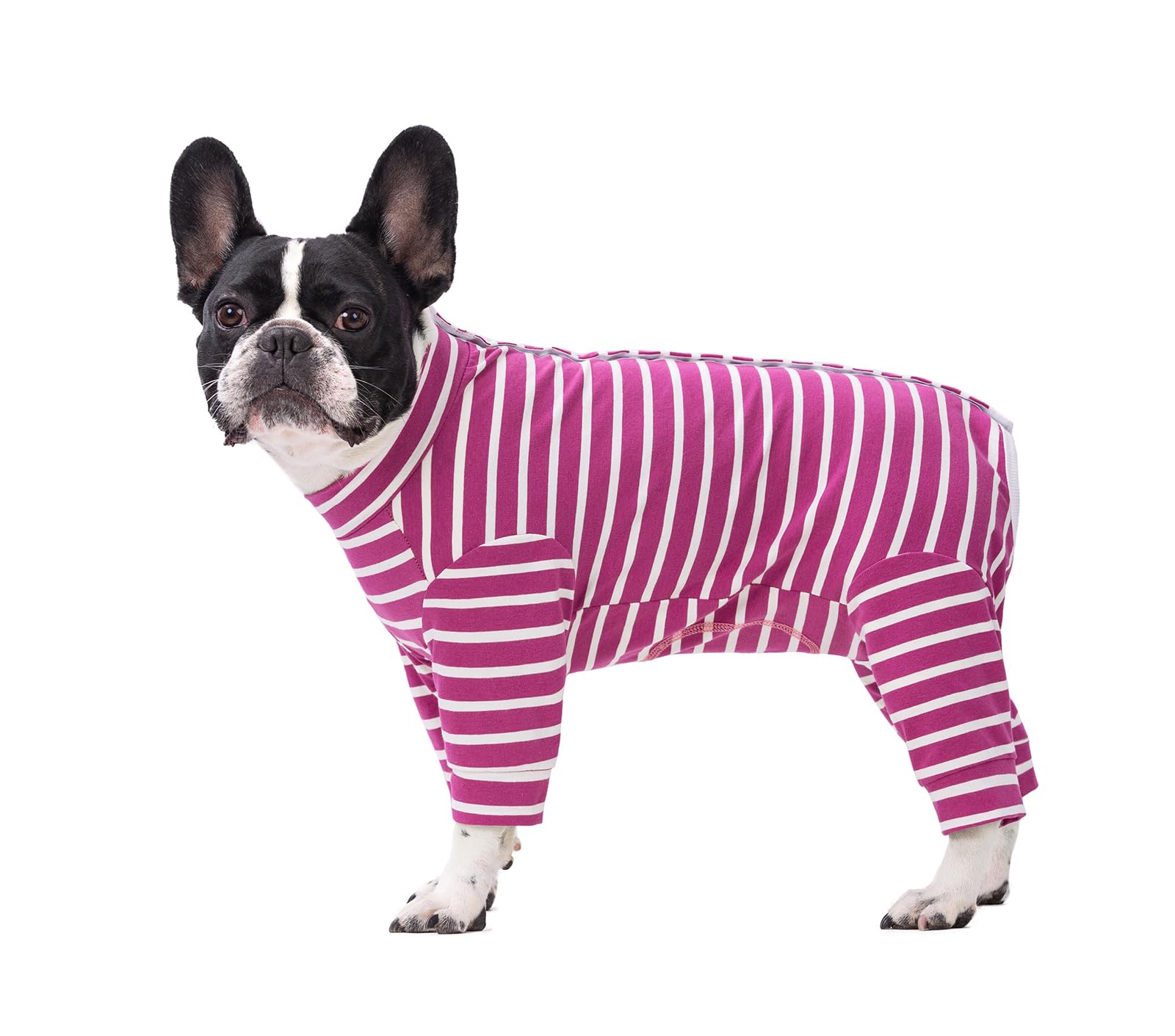 Small Dog Clothes Pajamas PJS,Pet Surger Recovery Suits Jumpsuit,Elastic Classic Stripes Pet Onesie Protect Joints Anti Licking For Cats Small Medium Dogs_S(Hot Pink)