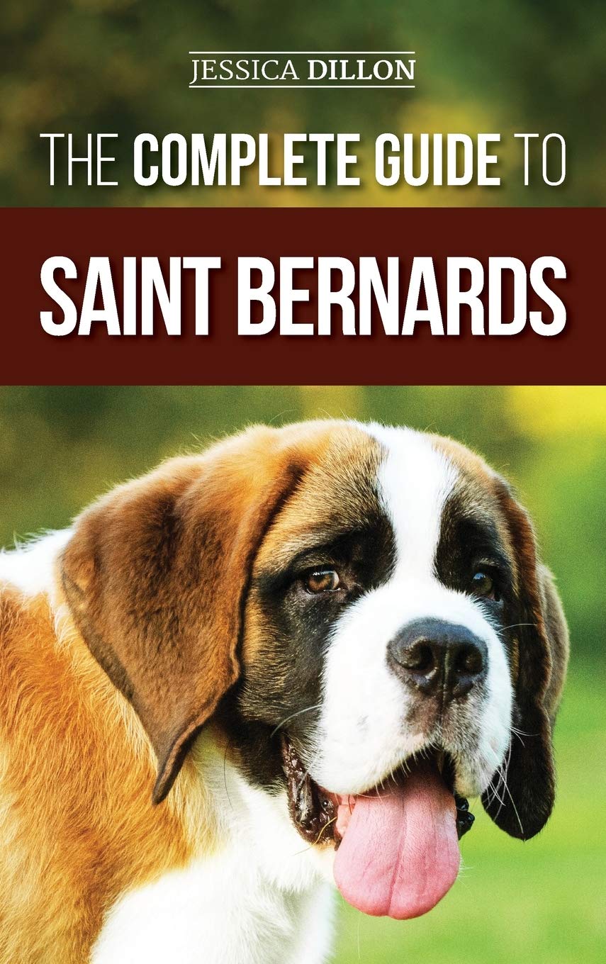 st bernard harness