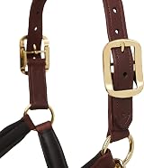 LeMieux Anatomic Headcollar Brown Padded Leather & Metal Fittings Full view 7