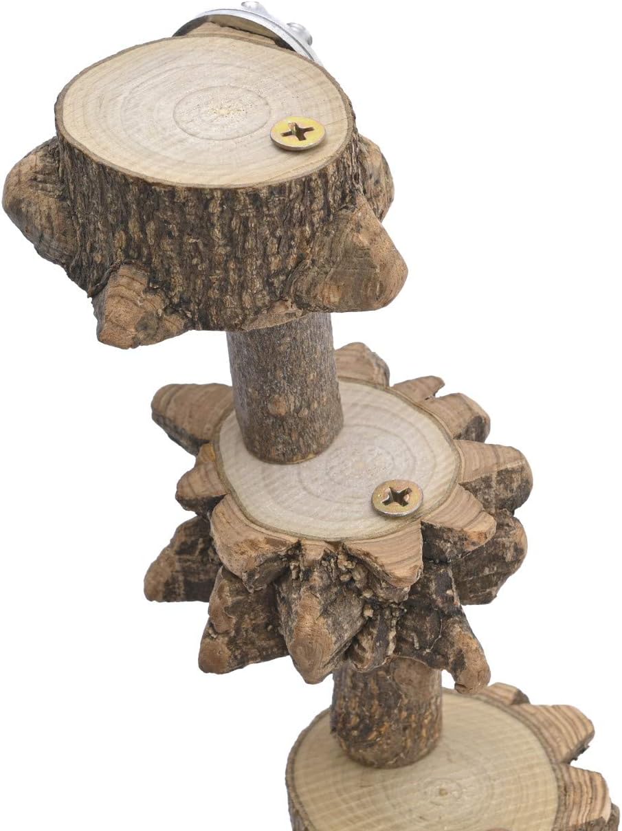 Luonfels Bird Platform Perch Playground for Budgie Parakeet, Cage Natural Wood Play Stand Parrot Flat Perches for Large Birds, Birdcage Ladder Climbing Toy 4 Step : Pet Supplies