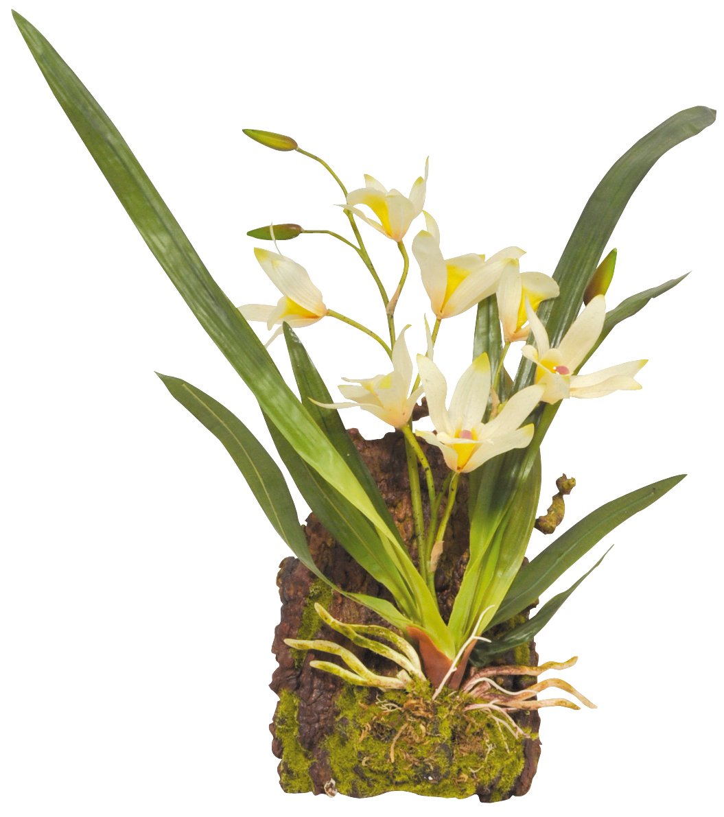 Lucky Reptile IF-16 Hanging Orchid, White