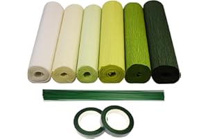 chaekoy 6 Rolls Crepe Paper Streamers, 10 Inch x 8 Feet Flower Making Kits with Floral Tape and Stem Wire for Birthday Party 